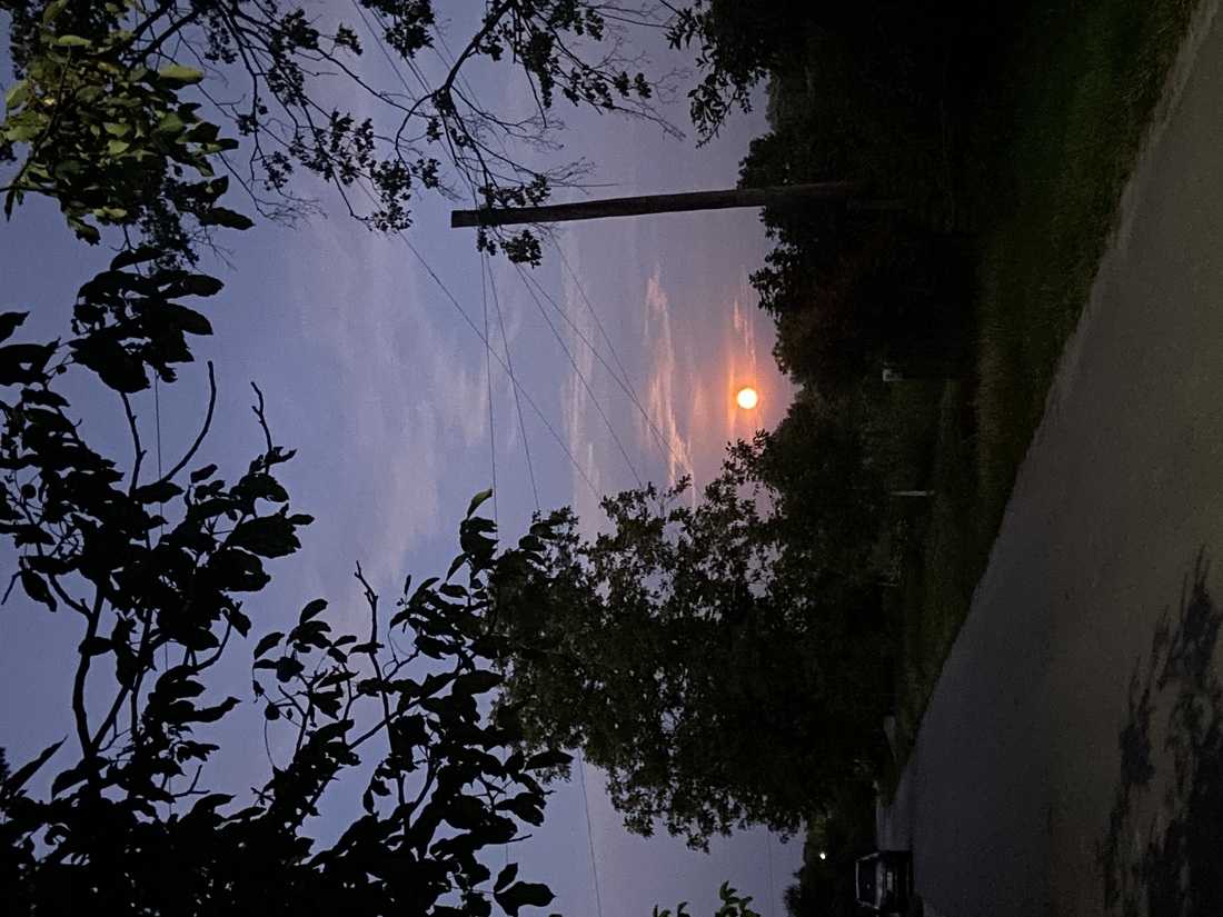 Примара