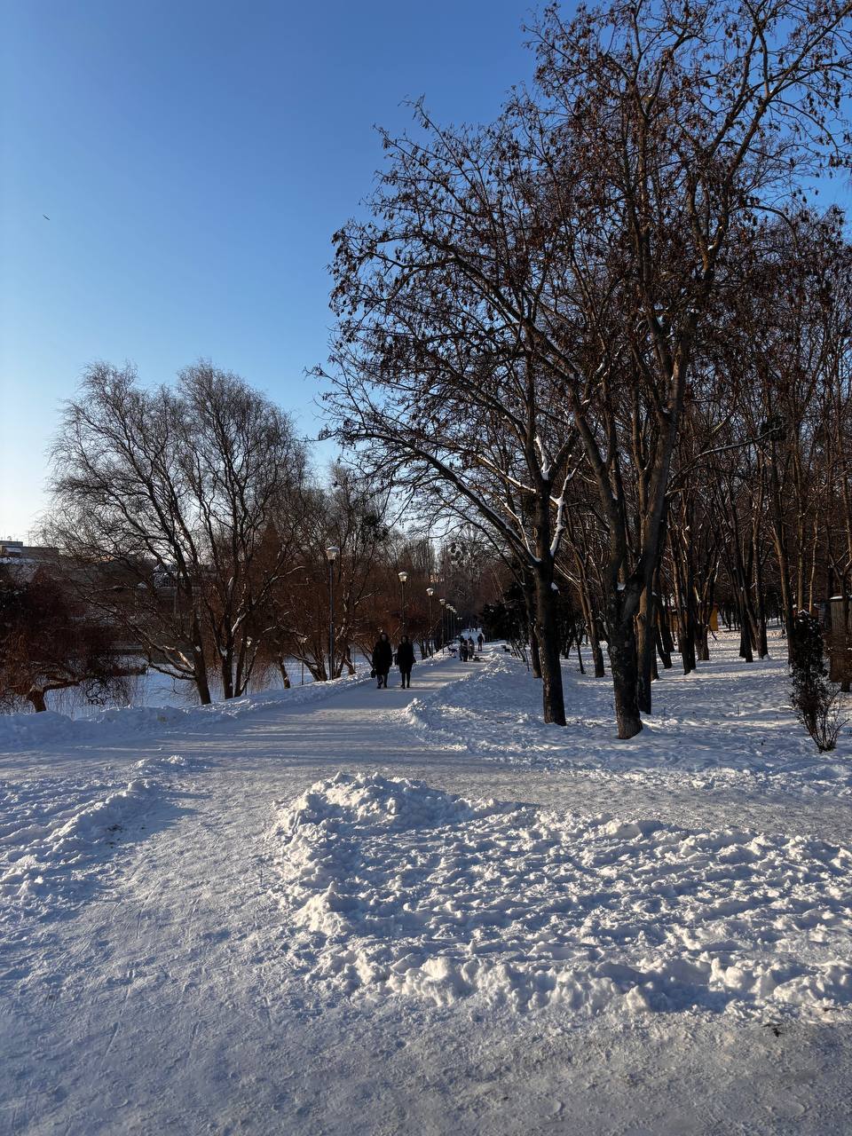 Поза словами